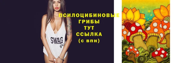 PSILOCYBIN Абаза