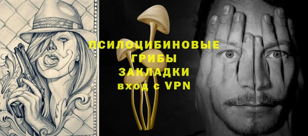 ешки Абинск