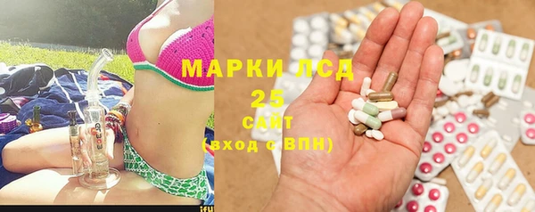 PSILOCYBIN Абаза